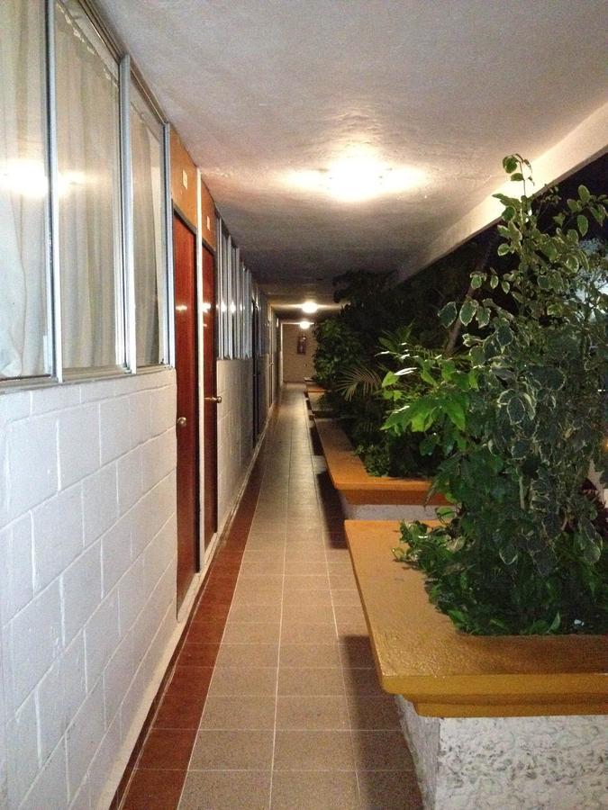 Hotel Safari Tuxtla Gutiérrez Extérieur photo